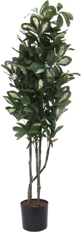 Schefflera, 90cm - Kunstplant