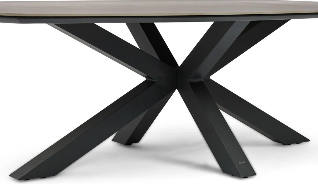 Dining Tuintafel 240 x 120 cm Grijs Voyage