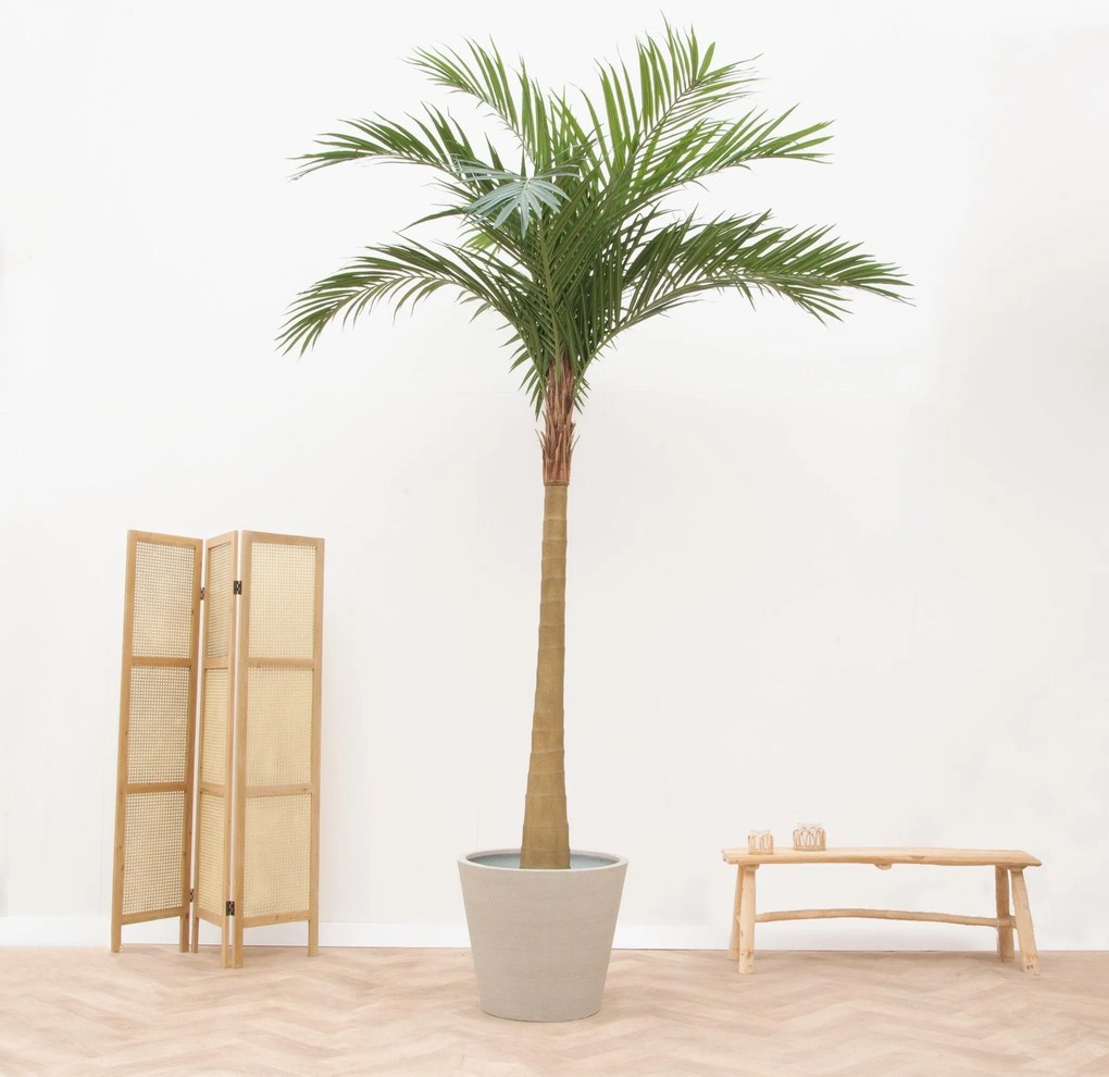Kunstplant Phoenix Roebelenii - 300cm