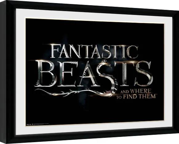 Ingelijste poster Fantastic Beasts - Logo