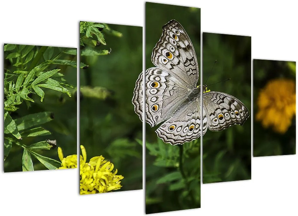 Schilderij - Witte vlinder (150x105 cm), 40 andere afmetingen