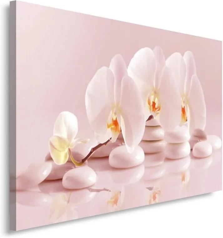Schilderij - Roze orchidee op roze zen stenen, inspiratie