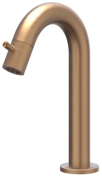 IVY Concord Fonteinkraan - gebogen - opbouw - laag - RVS316 - geborsteld mat koper PVD 6401063