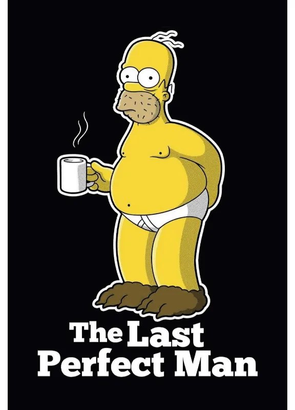 The last perfect man Homer Simpson - metalen bord | Cavetown