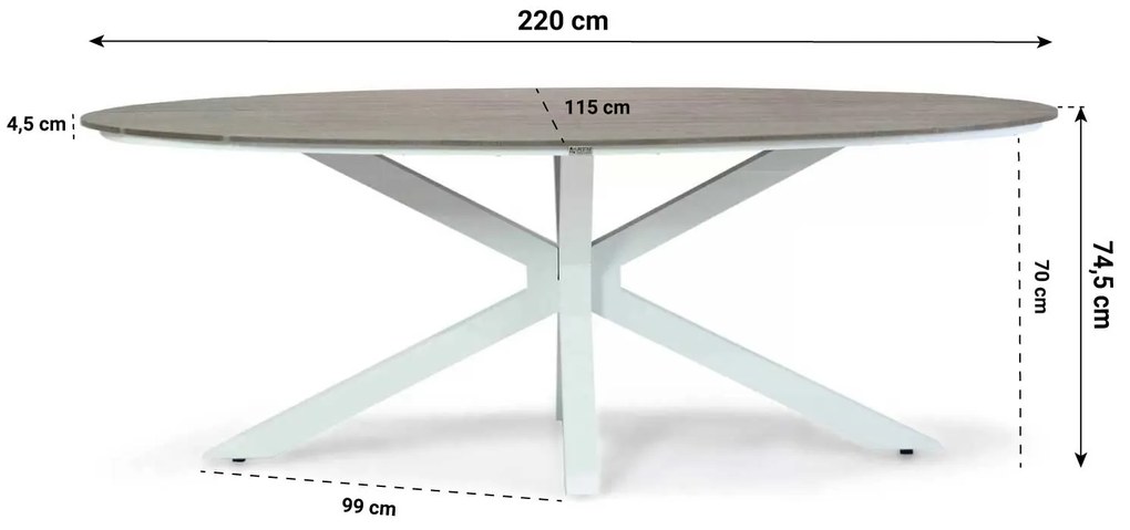 Dining Tuintafel ovaal ellipse 220 x 115 cm Aluminium/polywood Grijs Panama