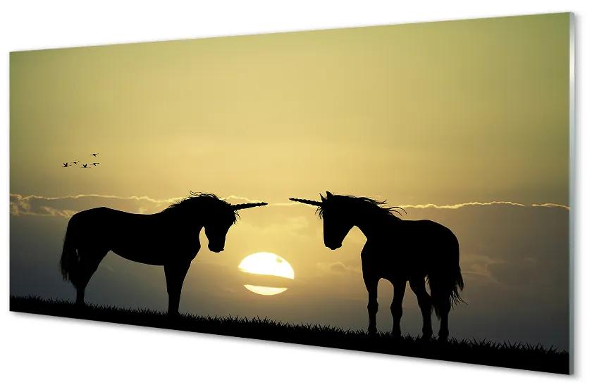 Foto op glas Veld zonsondergang eenhoorn 100x50 cm