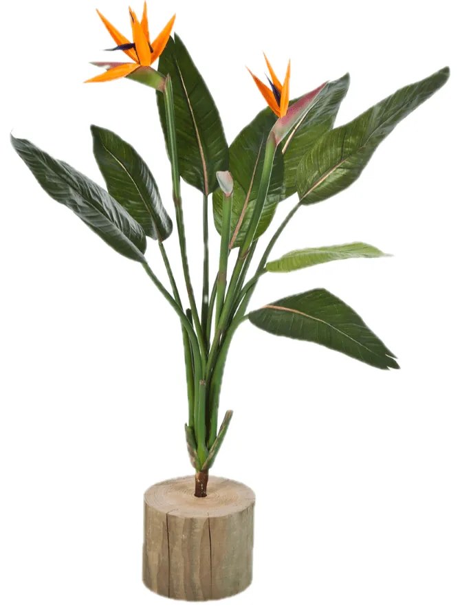 Kunst Strelitzia Reginae - 100 cm