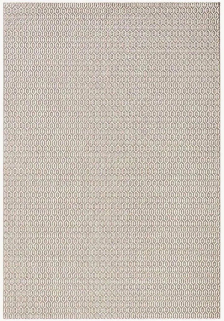 In- & outdoor laagpolig vloerkleed Coin