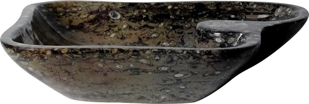 Bruin marmeren waskom | Eeuwenoud Goniatiet Fossiel | 45 x 54,5 x 11 cm