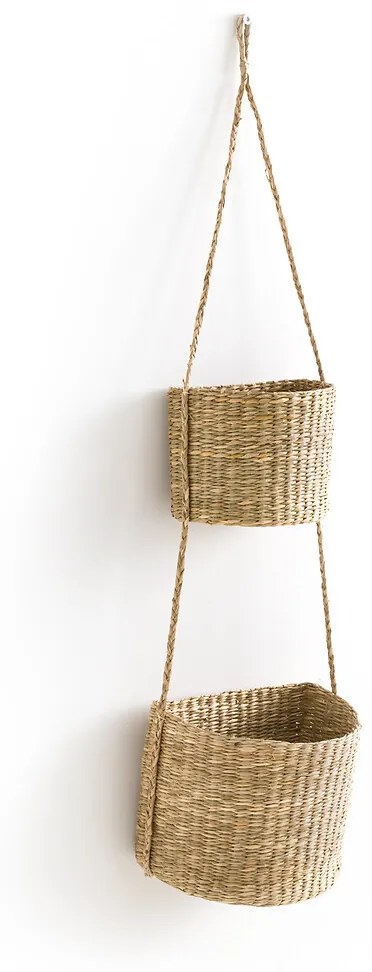 Hangende mandjes in herbarium, Cesta