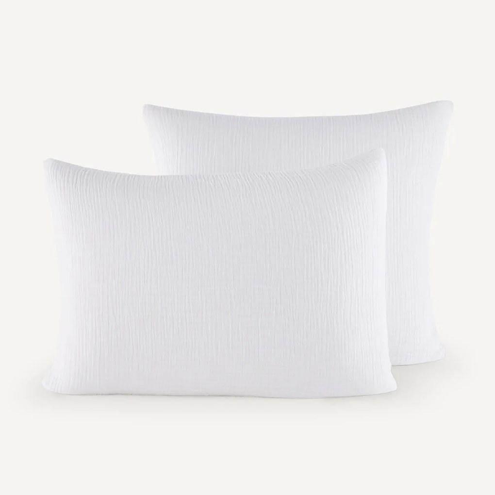 Kussensloop in biologisch tetra, Yafa