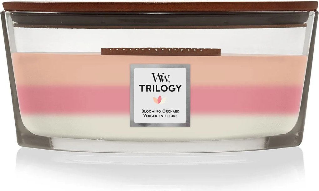 WoodWick geurkaars - Ellipse HearthWick Flame Trilogy - Blooming Orchard