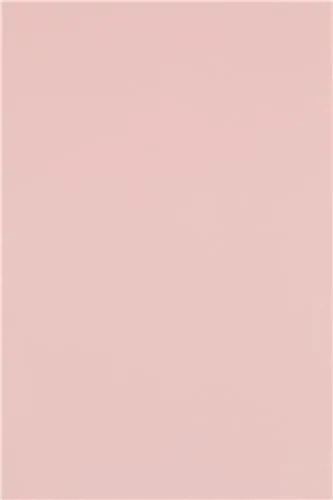 House of Rebels Stapelbare Eetkamerstoel - Sterre - Roze - House of Rebels