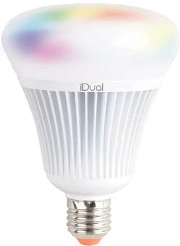 IDual LED lamp dimbaar G100 E27 1-stuk met afstandbediening