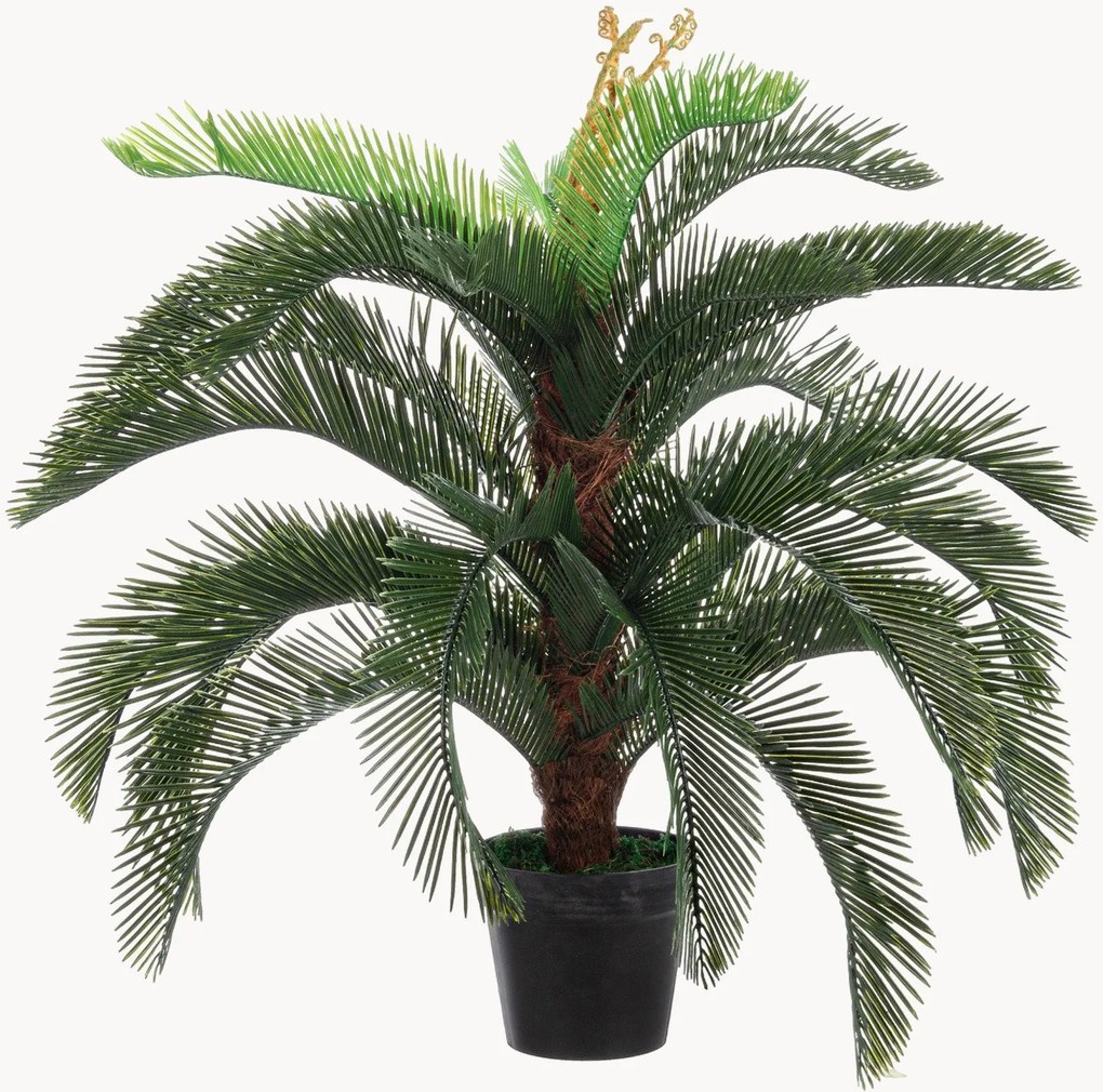 Kunstplant Palma Cycas