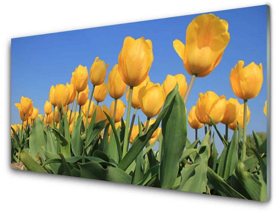 Glas foto Tulpen bloemen plant 100x50 cm