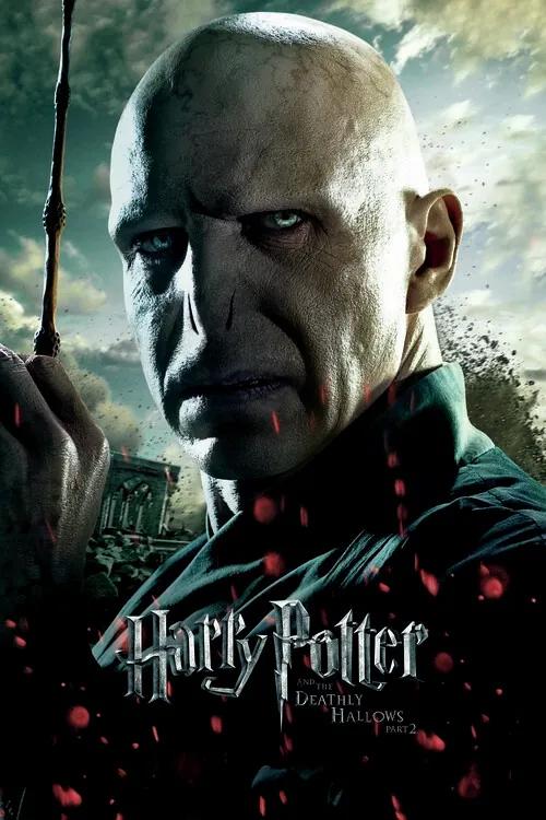 Kunstafdruk Voldemort, (26.7 x 40 cm)