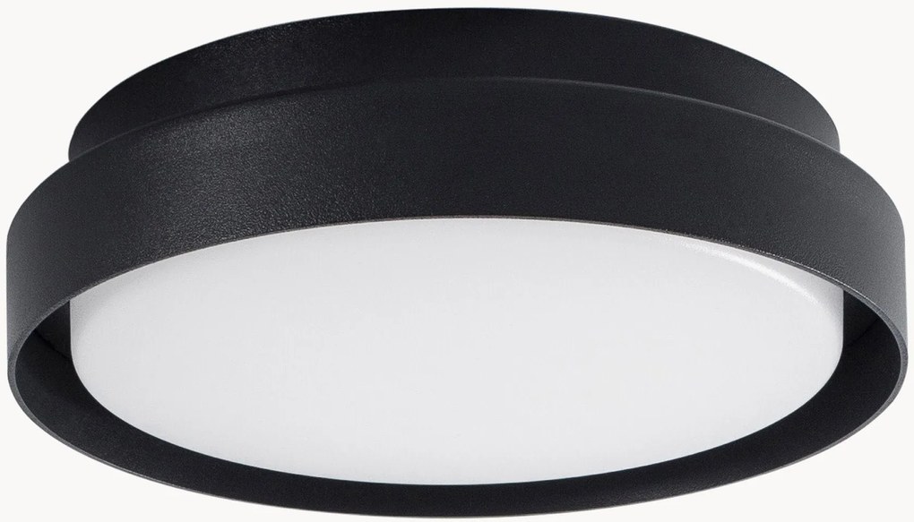 Outdoor LED plafondlamp Oliver