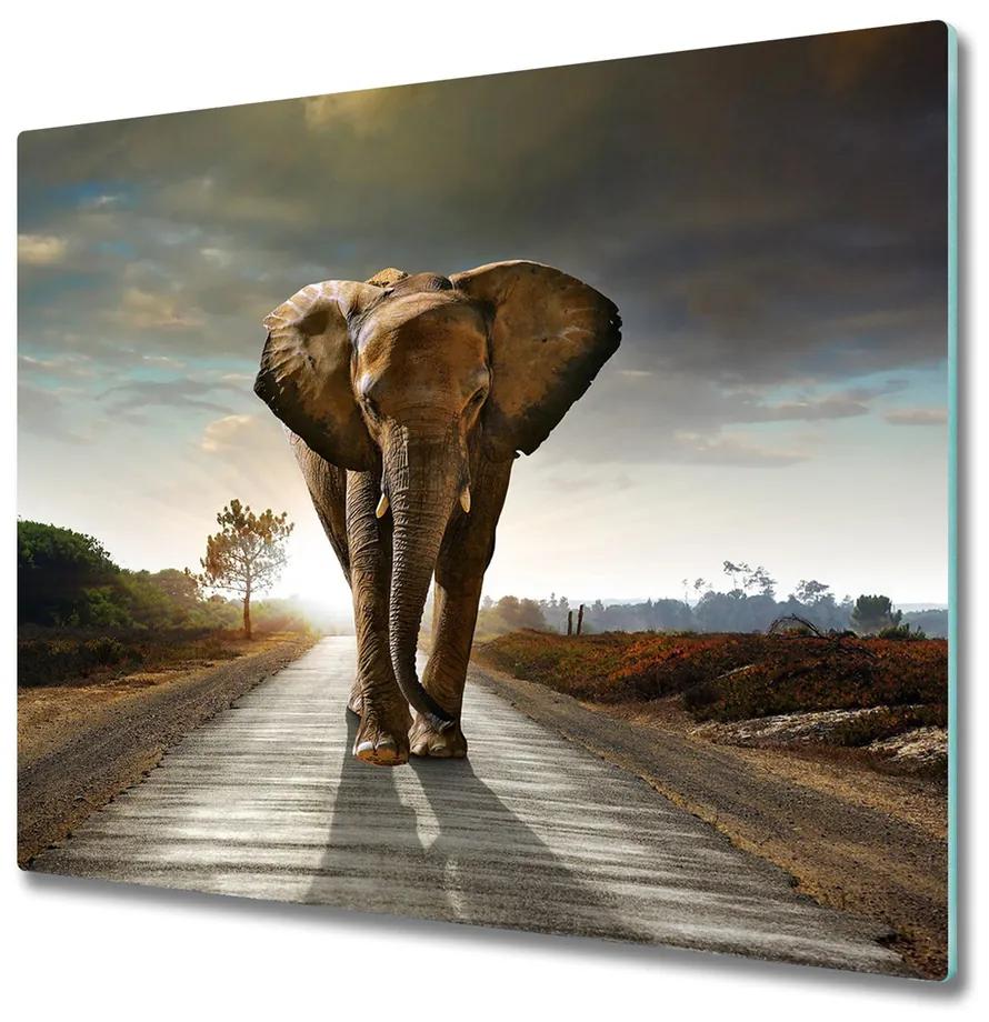 Glazen snijplank Een wandelende olifant 60x52cm