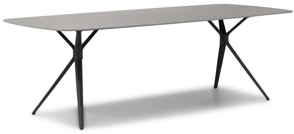 Dining Tuintafel   240 x 100 cm Aluminium Grijs  Valerio