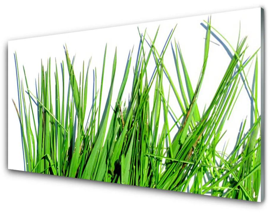 Foto op glas Gras op muur 100x50 cm