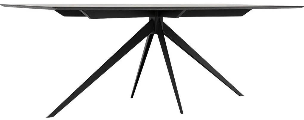 Goossens Excellent Eettafel Uniek, Rechthoekig 200 x 100 cm