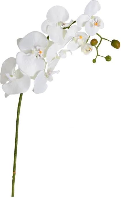Orchidee Wit 100 cm