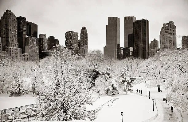 Foto Central Park winter, rabbit75_ist