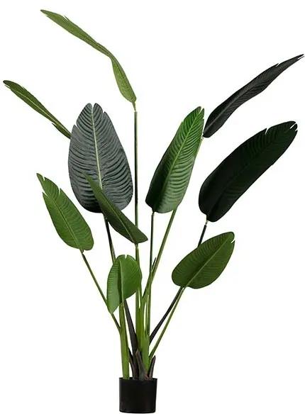 Kunstplant Strelitzia groen 164cm