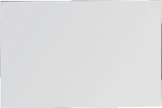 Wandspiegel roestvaststaal (RVS) (hxb) 400x600mm rechthoekig