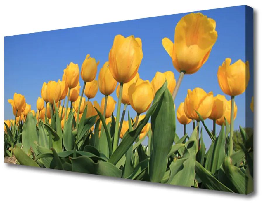 Print op doek Tulpen bloemen plant 100x50 cm