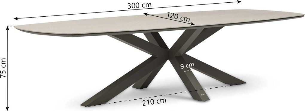 Dining Tuintafel 300x 120 cm Taupe Voyage