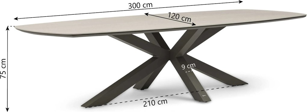 Dining Tuintafel rechthoekig 300x 120 cm Taupe Voyage