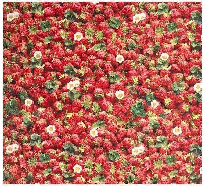 Tafelzeil Aardbeien