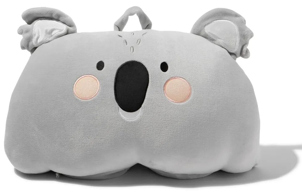 HEMA Speel En Knuffel Slaapzak 270x200 Koala