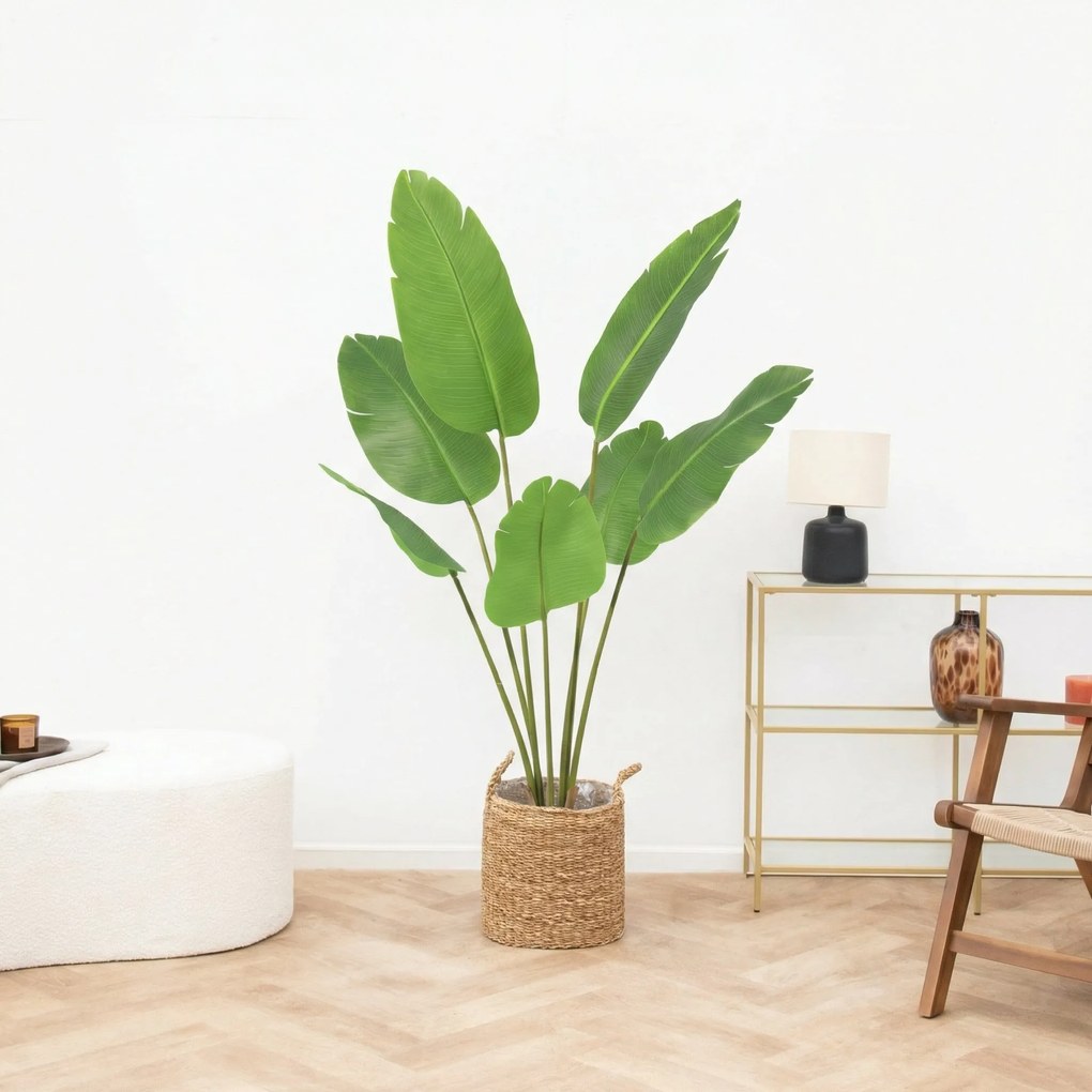 Kunst Strelitzia Nicolai - 135cm