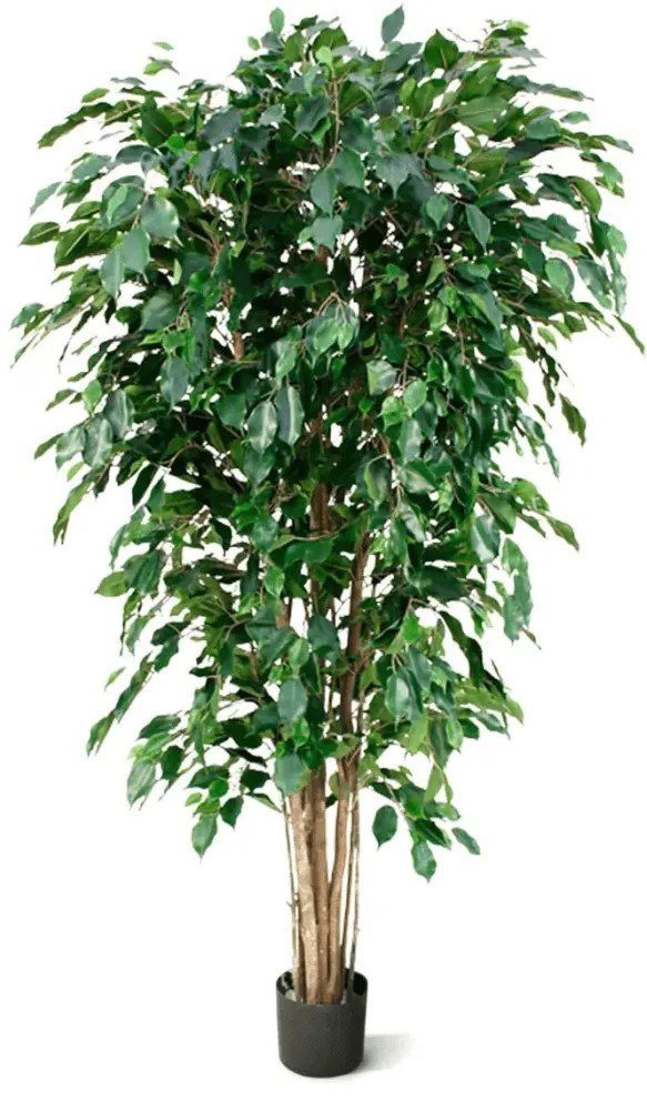 Ficus Benjamina Exotica kunstplant - 180 cm