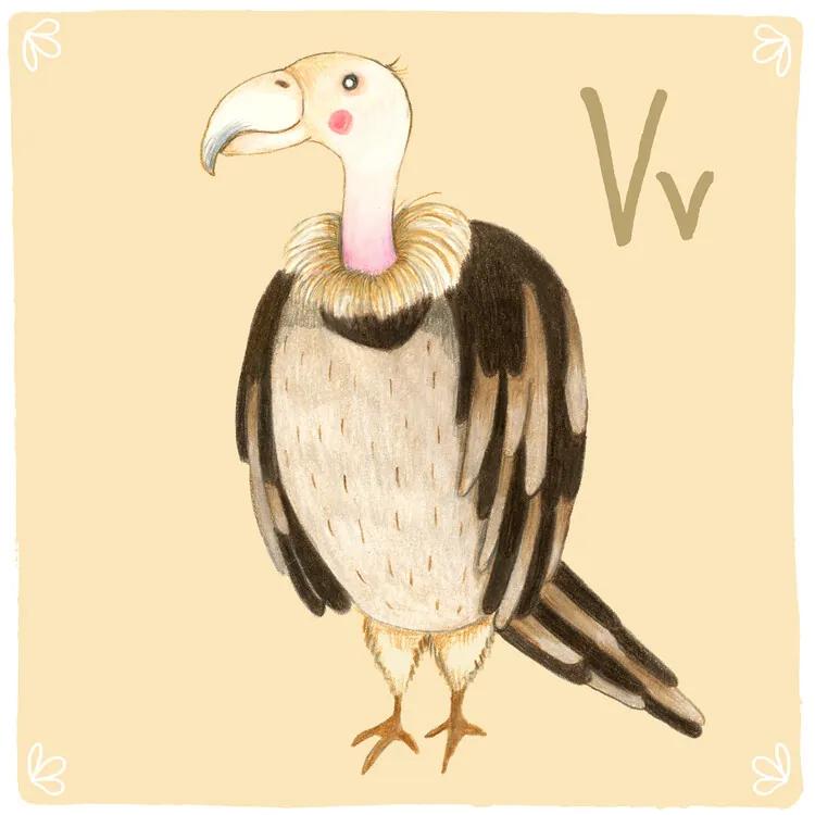 Ilustratie Alphabet - Vulture, Judith Loske, (40 x 40 cm)