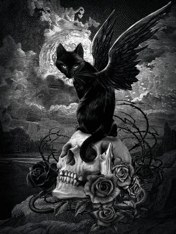 Ilustratie Nine Lives of Poe, Alchemy