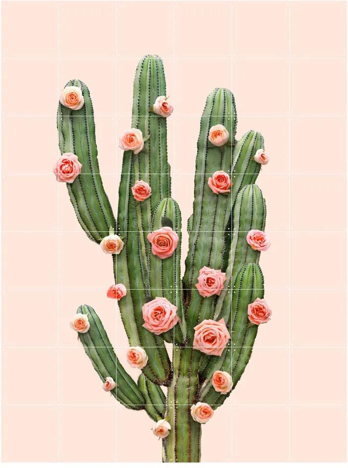 IXXI Cactus balloons & Roses wanddecoratie - dubbelzijdig