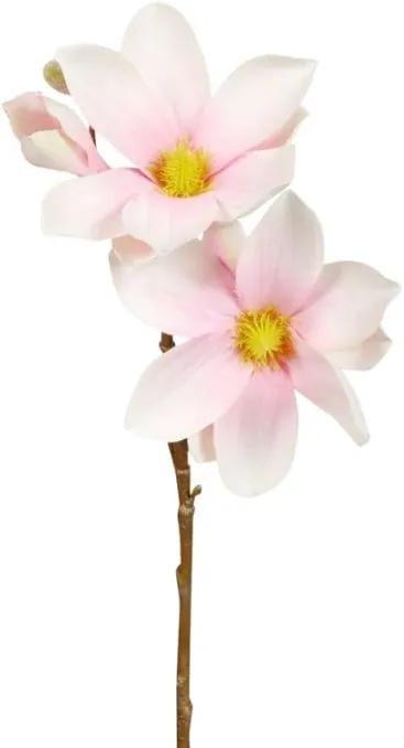 Magnolia Roze - Wit 40 cm