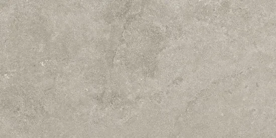 Valence Lisse vloertegel 30x60cm grijs mat gerectificeerd
