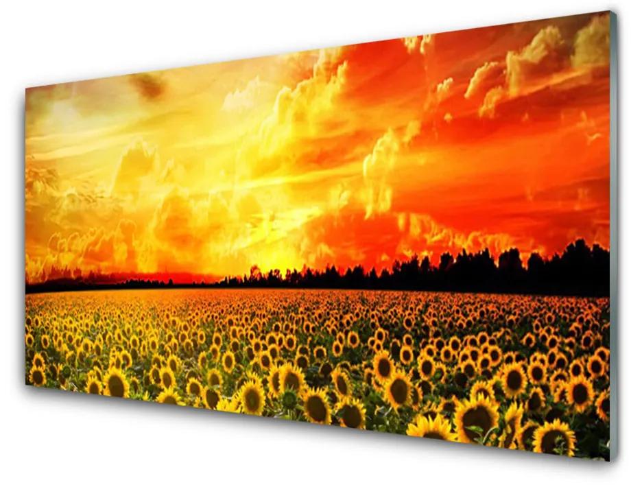 Foto schilderij op glas Zonnebloemen meadow flowers 100x50 cm