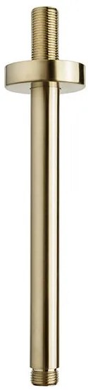 Mueller Gold inbouw regendouche rond met 20cm hoofddouche en plafondarm 20cm messing geborsteld