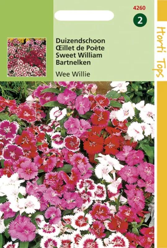 Zaden - Dianthus Barbatus Wee Willie Gemengd