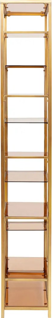 Smal Hoog Wandrek Staal Met Glas Goud - 60x30x195cm.