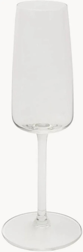 Mondgeblazen champagneglazen Barolo, 6-delig