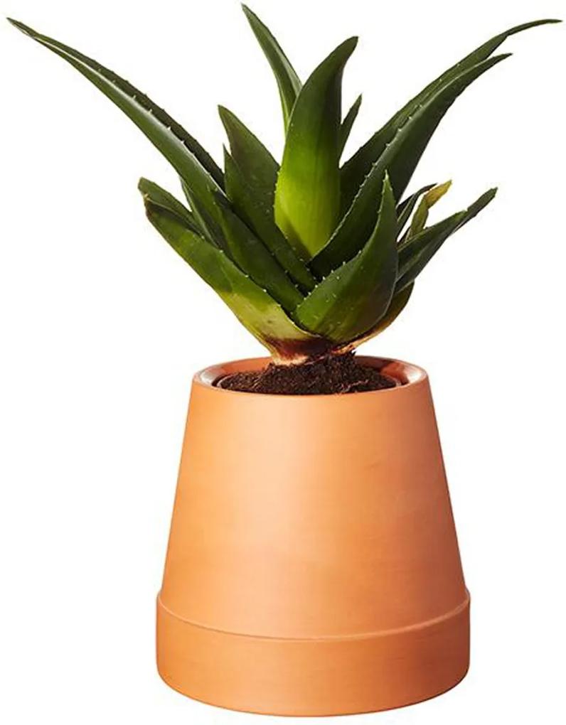 Boskke Flipped Planter - Terracotta bloempot - Ø 8.5 cm - 15.5 cm - Planten - Pot - Aardewerk - Aardewerken - Design - Terracotta