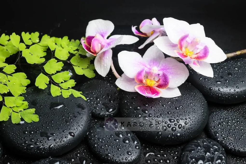 Schilderij - Zen stenen met orchidee, inspiratie