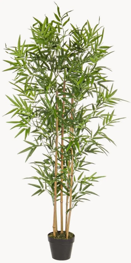 Kunstplanten Bamboe, 2-delig